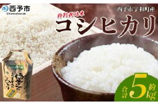 令和7年産 西予市宇和町産 特別栽培米 コシヒカリ 5kg