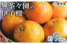 ＜無茶々園の伊予柑 約7kg＞ 果物 いよかん イヨカン みかん ミカン 蜜柑 柑橘 フルーツ 選べる内容量 期間限定 季節限定 特産品 愛媛県 西予市【常温】