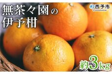 ＜無茶々園の伊予柑 約3kg＞ 果物 いよかん イヨカン みかん ミカン 蜜柑 柑橘 フルーツ 選べる内容量 期間限定 季節限定 特産品 愛媛県 西予市【常温】
