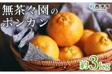 ＜無茶々園のポンカン 約3kg＞ 果物 くだもの フルーツ 選べる内容量 ぽんかん みかん 蜜柑 柑橘類 かんきつ 旬 甘い 濃厚 新鮮 期間限定 季節限定 産地直送 特産品 愛媛県 西予市 【常温】