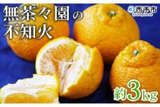 ＜無茶々園の不知火 約3kg＞ フルーツ 果物 くだもの デコポン しらぬい しらぬひ 柑橘 みかん ミカン 蜜柑 オレンジ 柑橘 甘い 旬 期間限定 季節限定 特産品 愛媛県 西予市【常温】