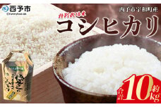 令和7年産 西予市宇和町産 特別栽培米 コシヒカリ 10kg