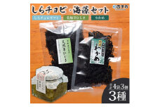 今市水産　しらチョビ海藻セット