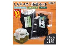 今市水産　しらチョビ海藻セット
