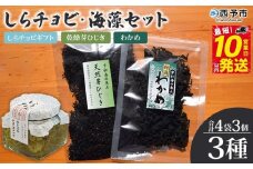 ＜しらチョビ 海藻セット＞ しらす シラス 魚 芽ひじき わかめ オイル漬け アンチョビ しらちょび ご飯のお供 パスタ おつまみ 加工品 贈答 ギフト 手土産 贈り物 特産品 今市水産 愛媛県 西予市 【常温】『最短10営業日以内に順次発送予定』