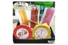 西予市まるごとセットB