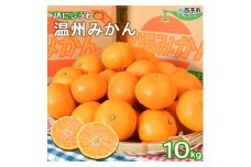 JAにしうわ　温州みかん10kg