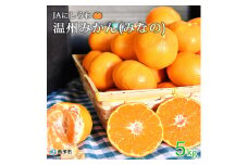 JAにしうわ　温州みかん「みなの」５kg