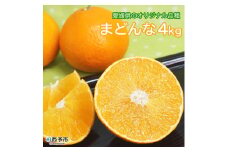 「まどんな」4kg（数量限定）