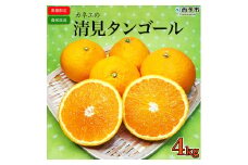 カネエの西宇和産　清見タンゴール ４kg