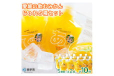 愛媛の飲むみかんジュレ(10個セット) 