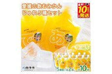 愛媛の飲むみかんジュレ(10個セット) 