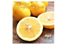 カネエの西宇和産　越冬完熟ニューサマーオレンジ ４kg