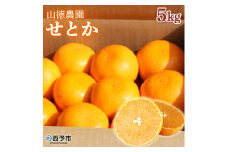 山徳農園「せとか」５kg