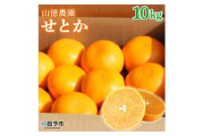 山徳農園 西宇和産せとか　10kg