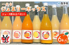 ＜一歩会 ジュエリーボックス ジュース飲み比べセット 720ml×6本入り（果汁100%ストレートジュース）愛媛 みかん＞ ミカン 柑橘 果物 フルーツ 特産品 渡江から一歩を踏み出す会 飲んで応援 愛媛県 西予市【常温】