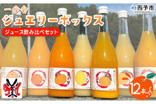 ＜一歩会 ジュエリーボックス ジュース飲み比べセット 720ml×12本入り（果汁100%ストレートジュース）愛媛 みかん＞ ミカン 柑橘 果物 フルーツ 特産品 渡江から一歩を踏み出す会 飲んで応援 愛媛県 西予市【常温】
