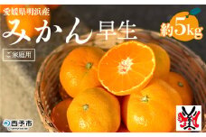 愛媛県明浜産　みかん（5㎏）早生