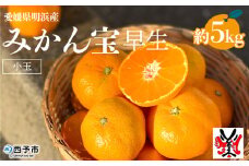 愛媛県明浜産　みかん（宝）5㎏　早生