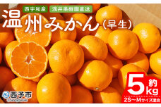 先行予約 ＜浅井果樹園 温州みかん 約5kg（早生）＞ 柑橘 果物 フルーツ ミカン 蜜柑 オレンジ うんしゅうみかん ウンシュウミカン ワセ 食べて応援 特産品 西宇和 愛媛県 西予市 【常温】