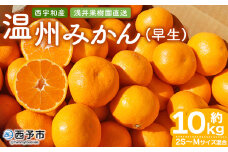 先行予約 ＜浅井果樹園 温州みかん 約10kg（早生）＞ 柑橘 果物 フルーツ ミカン 蜜柑 オレンジ うんしゅうみかん ウンシュウミカン ワセ 食べて応援 特産品 西宇和 愛媛県 西予市 【常温】