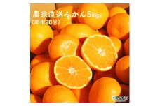 浅井果樹園直送　西宇和産温州みかん　５kg