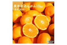 浅井果樹園直送　西宇和産温州みかん　10kg