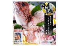 愛媛の有名店「寿司和泉屋」若大将が捌いた「白寿真鯛」と秘伝のタレ