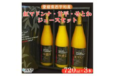 愛媛県西宇和産　紅マドンナ、甘平、せとかジュース　３本セット