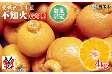 愛媛県明浜産　不知火【完熟】（4.0㎏）