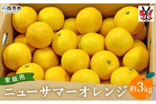 愛媛県明浜産　ニューサマーオレンジ 家庭用（3kg）