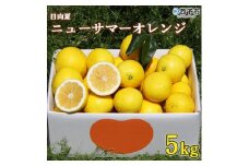 おれんじはーと　農家直送ニューサマーオレンジ5kg（数量限定）