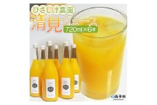 ひさしげ農園　清見ジュース６本入