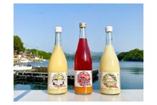 大人のオレンジジュース　赤い稲妻セット（お酒で割るのがおススメ編）数量限定