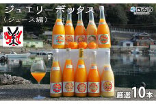 ジュエリーボックス（ジュース編）厳選10本 数量限定