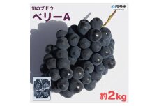 予約受付＜旬のブドウ「ベリーA」約2kg＞ 果物 フルーツ ぶどう 葡萄 甘い おいしい 期間限定 季節限定 食べて応援 特産品 愛媛県 西予市【冷蔵】