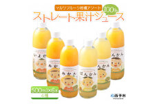 マルワフルーツ柑橘アソート6本セット手提げ箱