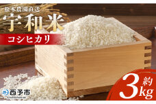 ＜令和6年産 松本農園直送 宇和米（コシヒカリ）約3kg＞ こしひかり 米 コメ こめ 白米 精米 うわまい ウワマイ ご飯 新鮮 3キロ お弁当 朝 昼 夜 国産 特産品 愛媛県 西予市【常温】