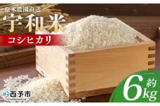 ＜令和6年産 松本農園直送 宇和米（コシヒカリ）約6kg＞ こしひかり 米 コメ こめ 白米 精米 うわまい ウワマイ ご飯 新鮮 6キロ お弁当 朝 昼 夜 国産 特産品 愛媛県 西予市【常温】
