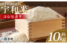 ＜令和6年産 松本農園直送 宇和米（コシヒカリ）約10kg＞ こしひかり 米 コメ こめ 白米 精米 うわまい ウワマイ ご飯 新鮮 10キロ お弁当 朝 昼 夜 国産 特産品 愛媛県 西予市【常温】
