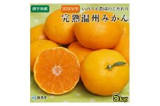 いのうえ農園直送西宇和産温州みかん（宮川早生） 5kg