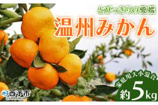 ＜とびっきりの愛媛 温州みかん 約5kg（家庭用大小混合）＞ 訳あり 家庭用 果物 柑橘 フルーツ 蜜柑 うんしゅうみかん ウンシュウミカン 特産品 片山果樹園 食べて応援 西宇和 愛媛県 西予市【常温】