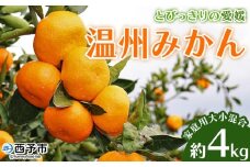 ＜とびっきりの愛媛 温州みかん 約4kg（家庭用大小混合）＞ 訳あり 家庭用 果物 柑橘 フルーツ 蜜柑 うんしゅうみかん ウンシュウミカン 特産品 片山果樹園 食べて応援 西宇和 愛媛県 西予市【常温】『2025年11月下旬～12月迄に順次出荷予定』