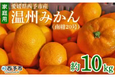 先行予約 ＜愛媛県西予市産 温州みかん（南柑20号）家庭用 約10kg（サイズ不揃い・小傷あり）＞ 訳あり  果物 くだもの ミカン 柑橘 フルーツ 食べて応援 特産品 段畑みかん 愛媛県 西予市【常温】『2025年11月中旬～12月中旬迄に順次出荷予定』
