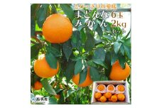 とびっきりの愛媛片山果樹園　まどんな＆みかんセット