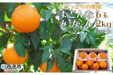 紅まどんなと同品種！＜とびっきりの愛媛 まどんな6玉＆温州みかん約2kgセット＞果物 柑橘 フルーツ マドンナ 愛媛果試第28号 ミカン 蜜柑 期間限定 特産品 産地直送 片山果樹園 西宇和 愛媛県 西予市【常温】『2025年12月中旬より順次発送予定』
