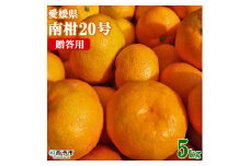 愛媛県西予市産　温州みかん (南柑20号)　贈答用５kg