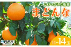 紅まどんなと同品種！＜とびっきりの愛媛 まどんな（11～14玉）＞ マドンナ 愛媛果試第28号 果物 柑橘 フルーツ 期間 旬 季節限定 特産品 産地直送 片山果樹園 西宇和 愛媛県 西予市【常温】