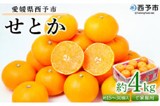 ＜愛媛県西予市産 せとか ご家庭用 約4kg＞ 訳あり 不揃い 傷 果物 フルーツ みかん ミカン 蜜柑 セトカ オレンジ 柑橘類 選べる 甘い 期間限定 食べて応援 特産品 宇都宮物産 【常温】『2026年2月下旬～4月上旬迄に順次出荷予定』