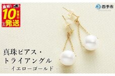 保証書付＜真珠ピアス・トライアングル（イエローゴールド）＞ 7.0～7.5mm 純国産 ぴあす パール アクセサリー フォーマル ファッション かわいい レディース 女性 誕生日 記念日 成人祝い 佐藤真珠 愛媛県 西予市 【常温】『最短10営業日以内に発送予定』